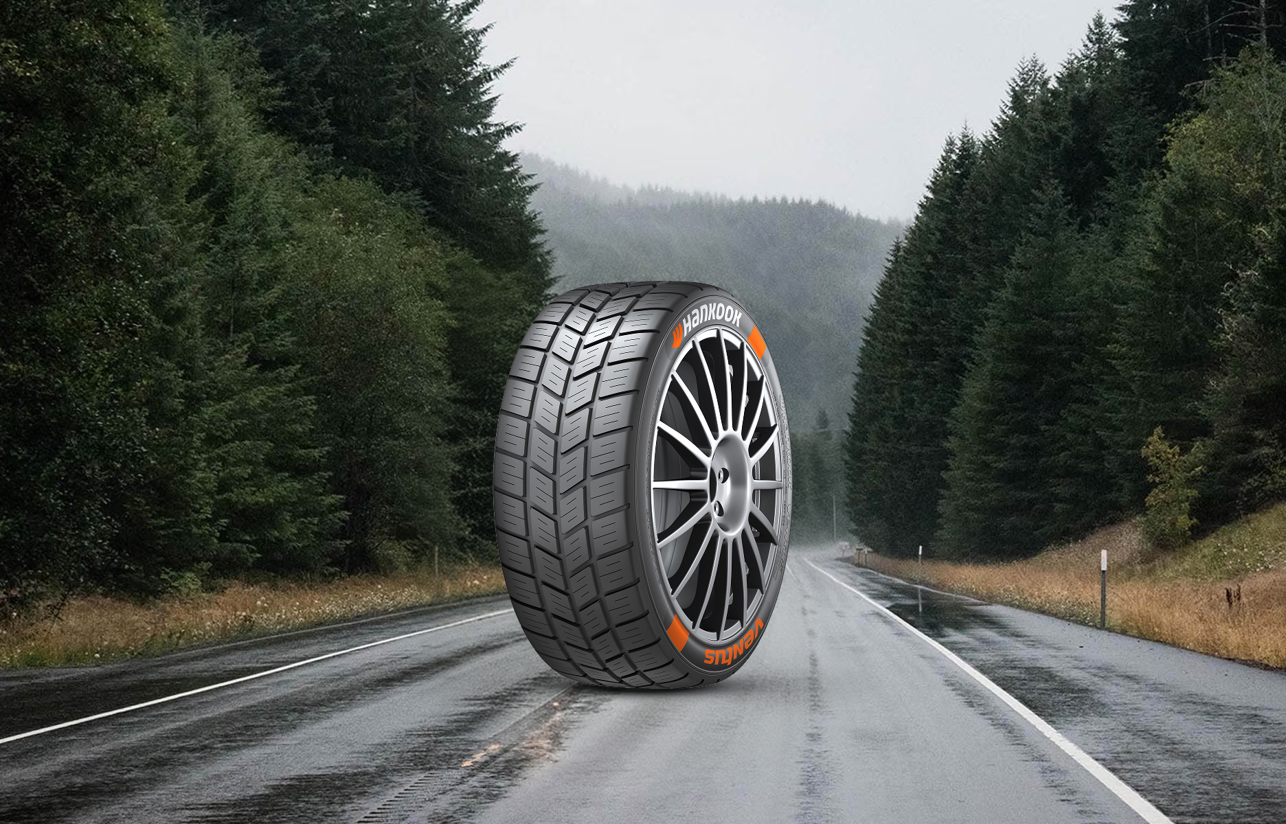 Ventus Z210 Llanta en una carretera con un fondo de bosque